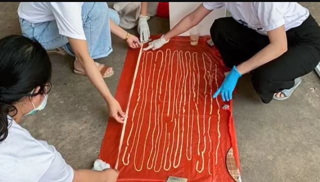 Man complaining of extreme fart excretes 18m-long tapeworm 1