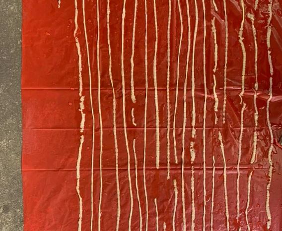 Man complaining of extreme fart excretes 18m-long tapeworm 5 Man complaining of extreme fart excretes 18m-long tapeworm 5