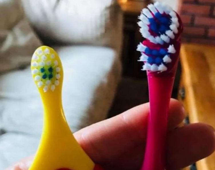 Here is why toothbrushes have different coloured bristles 5