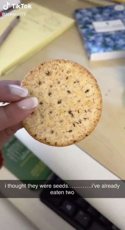 Woman cried after accidentally eating biscuits covered in ants, thinking they were seeds 4