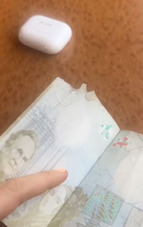 Woman warns travelers after she was banned from flight due to ripped passport 2