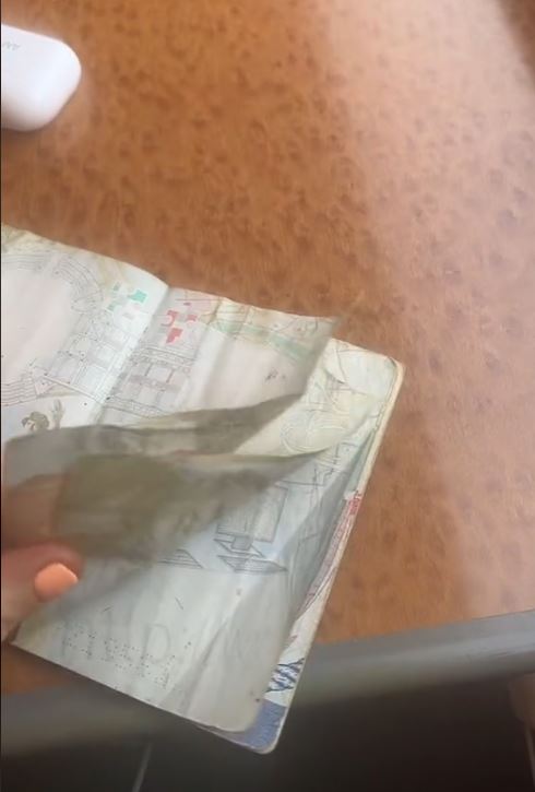 Woman warns travelers after she was banned from flight due to ripped passport 3