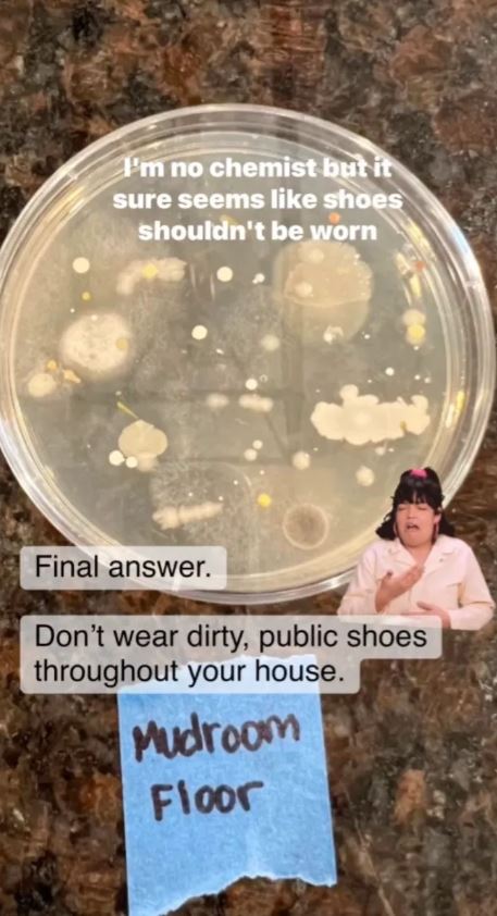 Expert shows the reason why you should never wear your shoes inside the house 4