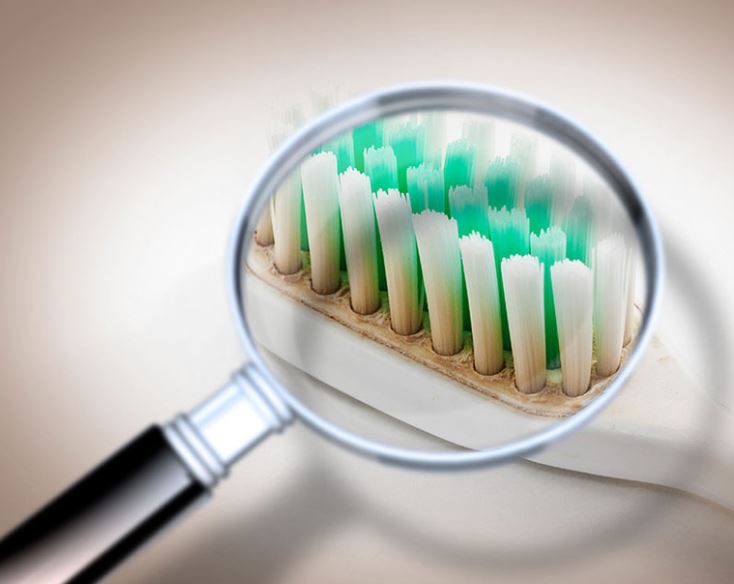 Expert reveals why you should NEVER leave your toothbrush in the bathroom 1
