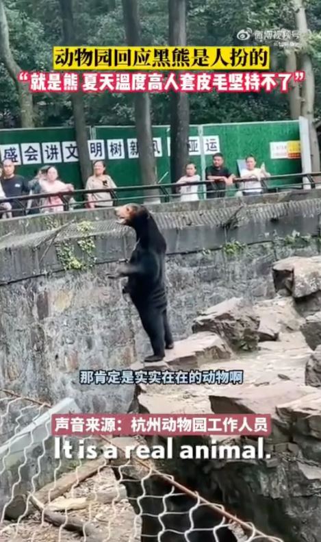 Chinese zoo denies bear is a human in costume 1