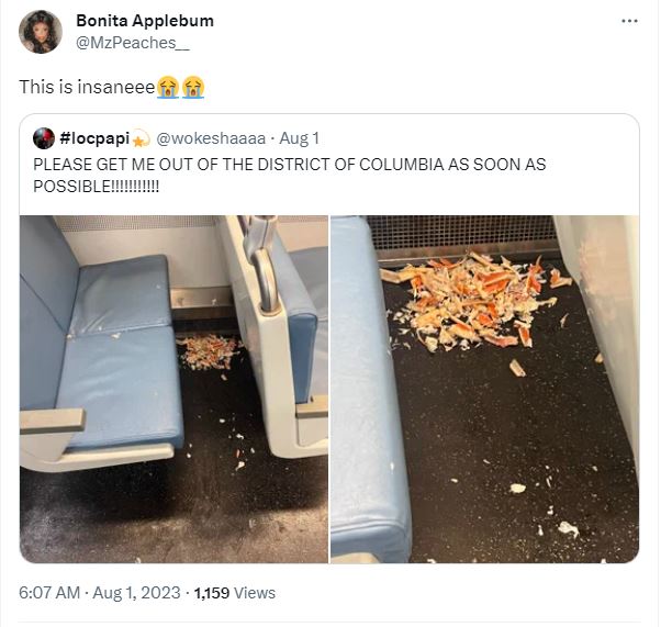 Passenger sparks debate after eating crab legs and then leaves the mess on a train 5