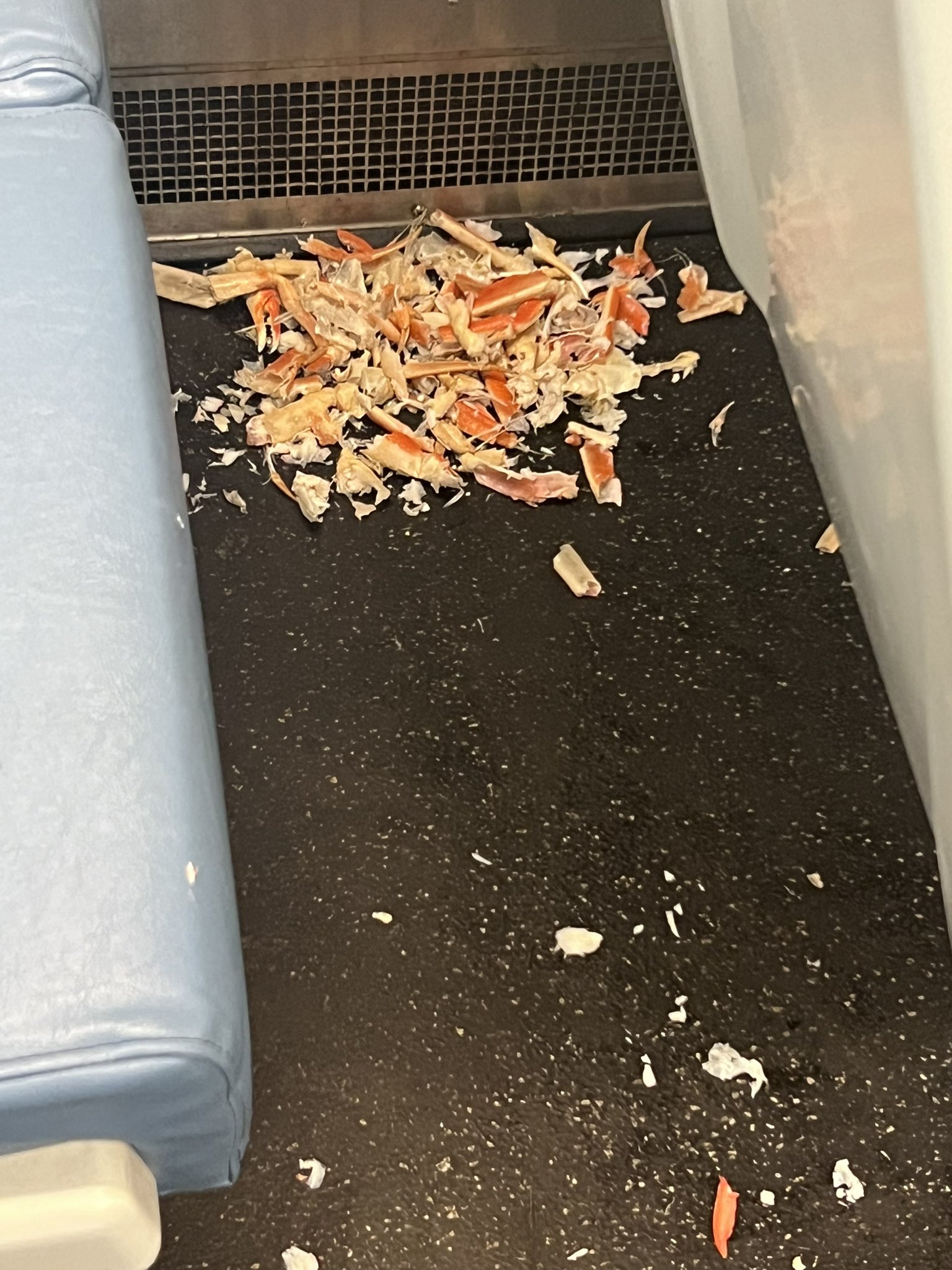 Passenger sparks debate after eating crab legs and then leaves the mess on a train 2