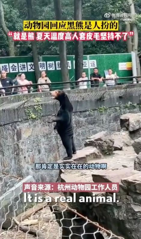 Chinese zoo allegedly tried to pass off Golden Retriever as a lion after denying the bear is a human in costume 1