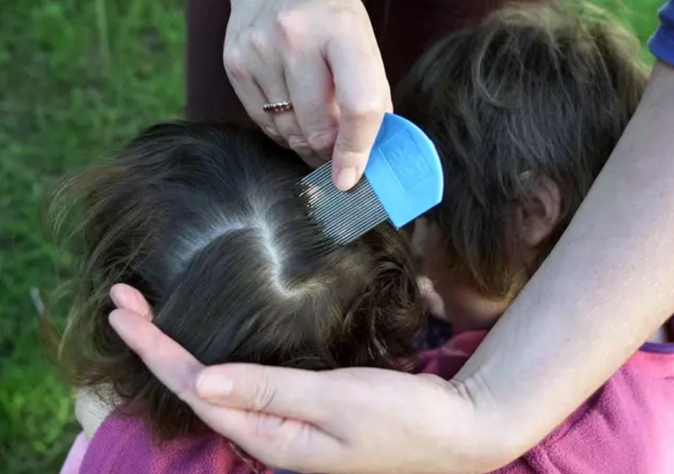 Vegan neighbor refuses to get rid of her child’s head lice because she's vegan 3