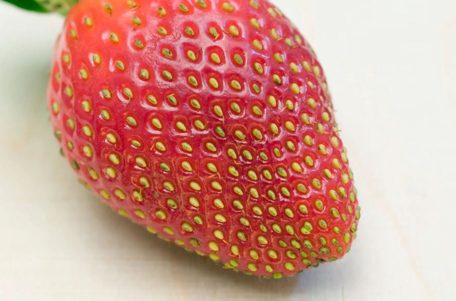 People are just realizing white dots on strawberries are not strawberry seeds 1