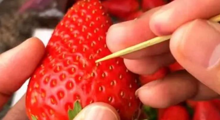 People are just realizing white dots on strawberries are not strawberry seeds 4