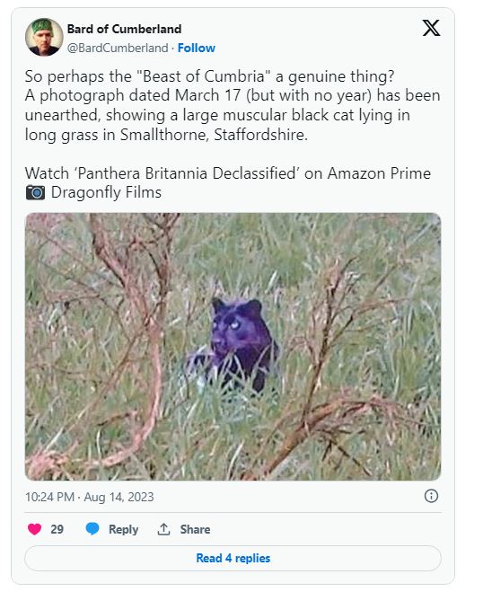 Filmmakers say they've found the 'clearest ever' photo of panther-like creature roaming the British countryside 1
