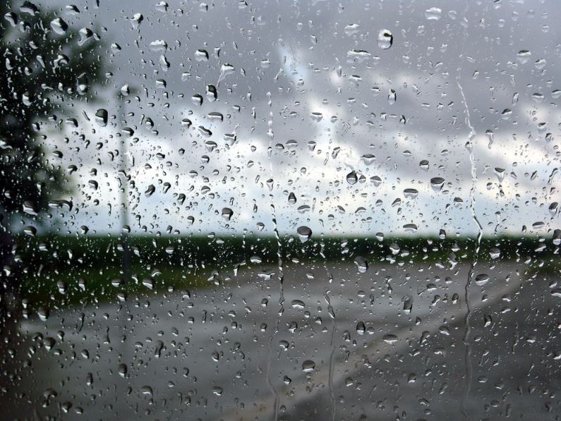 Scientists confirm some people are able to smell when it's going to rain 5