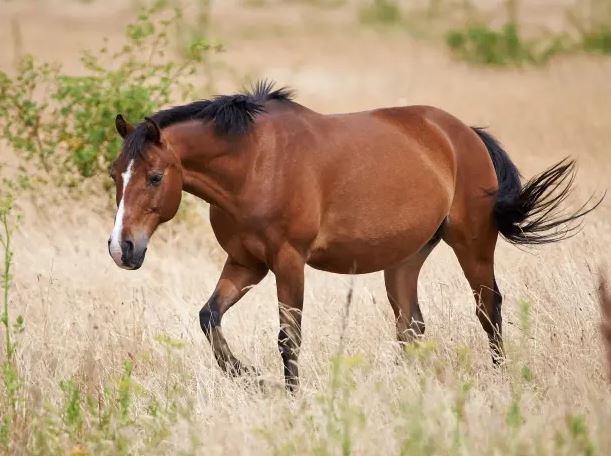 Image Credit: Alamy