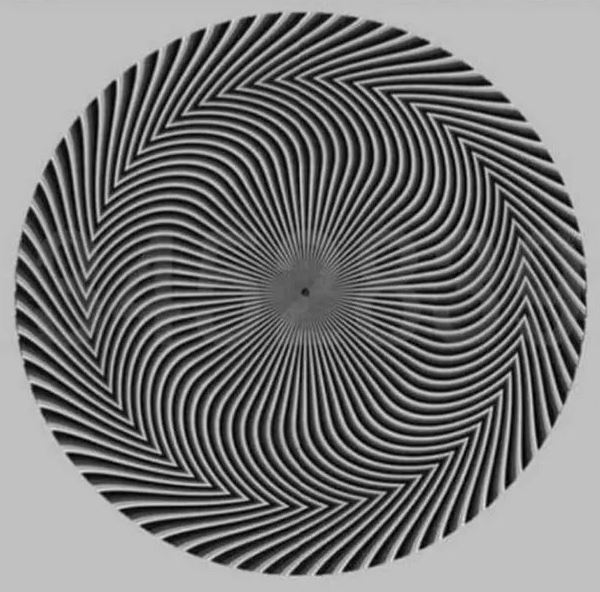 Baffling optical illusion shows hidden number which everyone sees differently 2