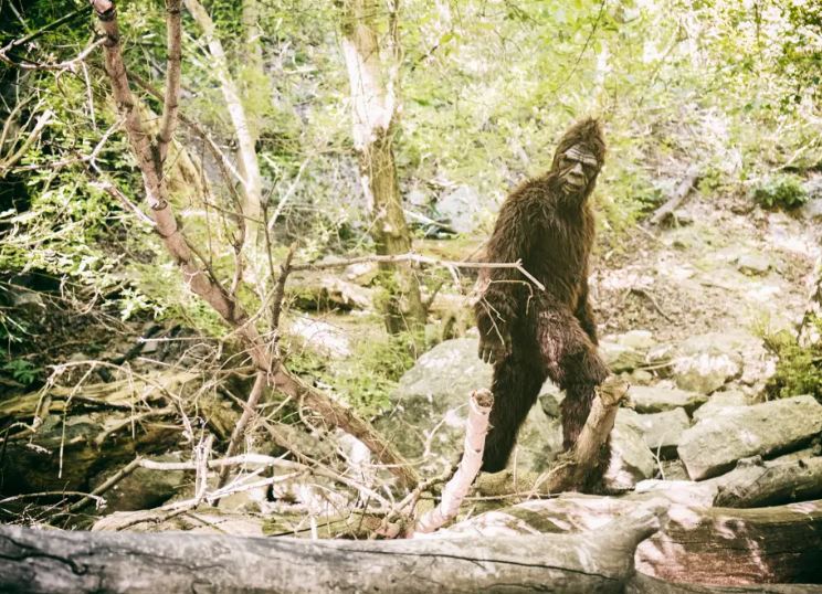 Video of ‘Bigfoot’ in Mississippi woods, photos 'of mythical creature' send fans wild 1