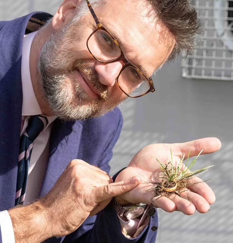 Metal detectorist unearths a 460-year-old posy ring that bearing mystery message 1