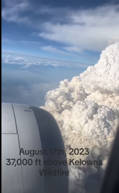 VIDEO: Plane shows what wildfires look like 30,000ft in the air 1