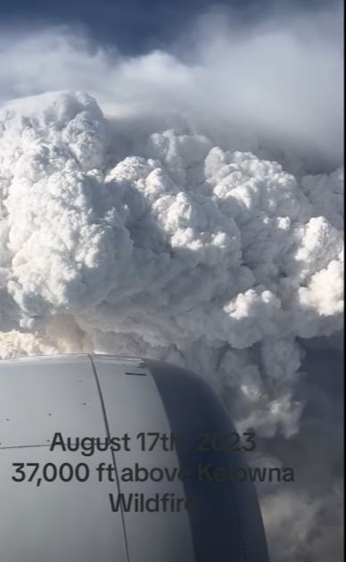 VIDEO: Plane shows what wildfires look like 30,000ft in the air 2