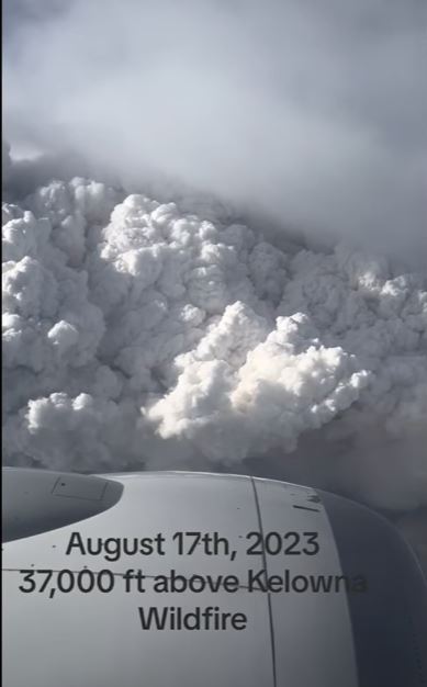 VIDEO: Plane shows what wildfires look like 30,000ft in the air 3