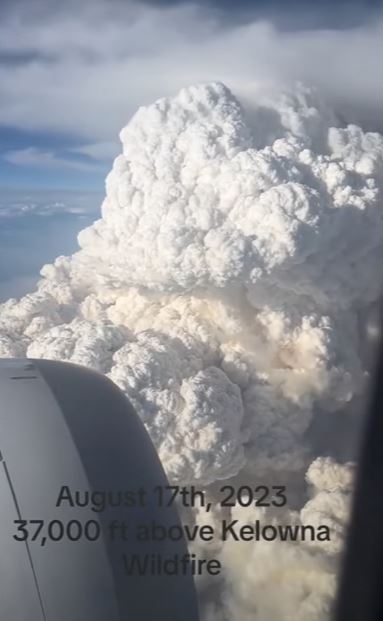 VIDEO: Plane shows what wildfires look like 30,000ft in the air 4