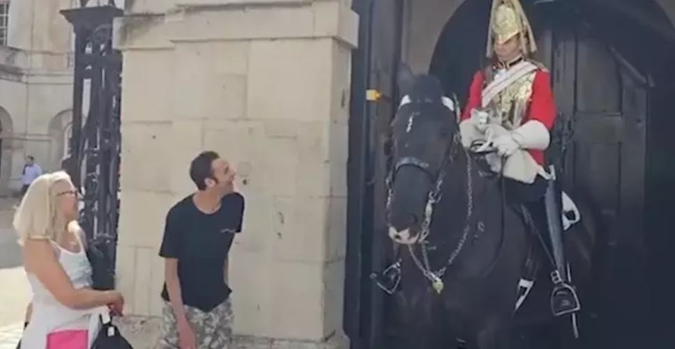 King's Guard breaks royal protocol and allows young man to pet his horse 1