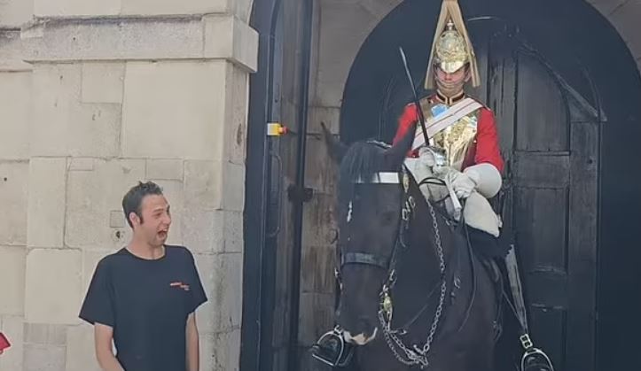King's Guard breaks royal protocol and allows young man to pet his horse 2