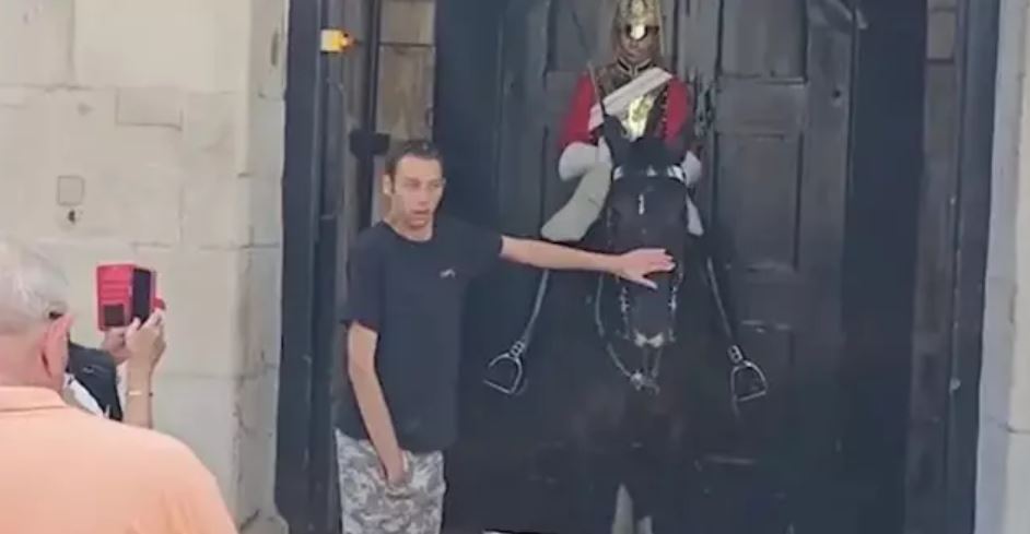 King's Guard breaks royal protocol and allows young man to pet his horse 3