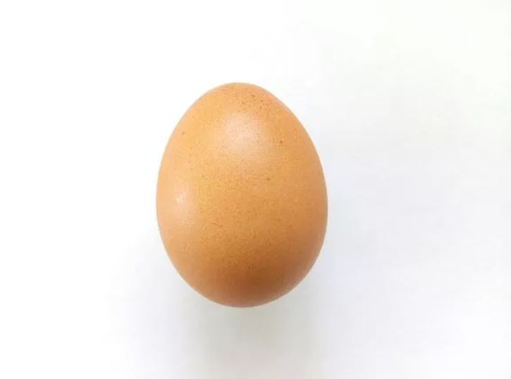 Scientists say they've finally cracked what came first the chicken or the egg? 4