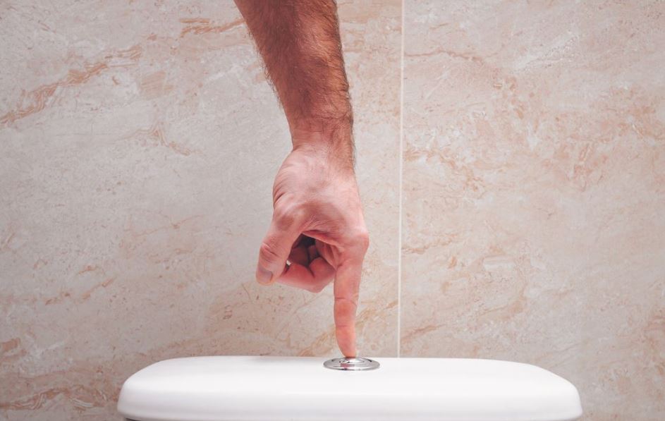 Doctor reveals the reason why you should NEVER flush the toilet while still sitting down 3