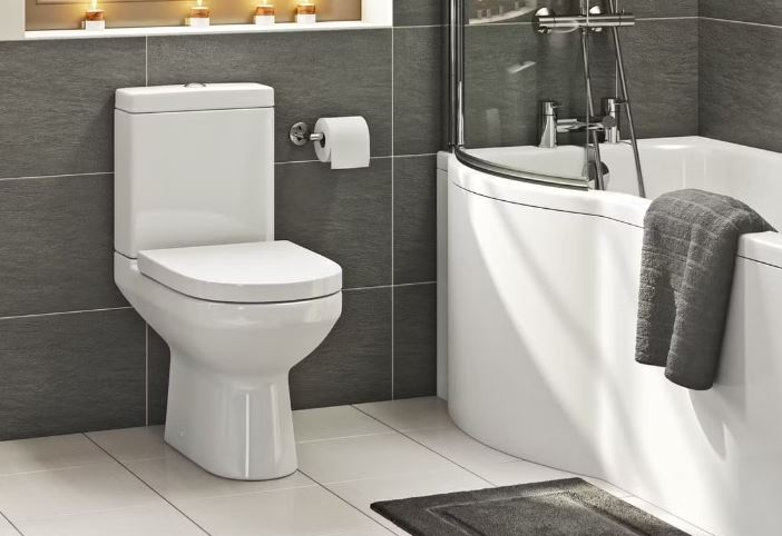 Doctor reveals the reason why you should NEVER flush the toilet while still sitting down 4
