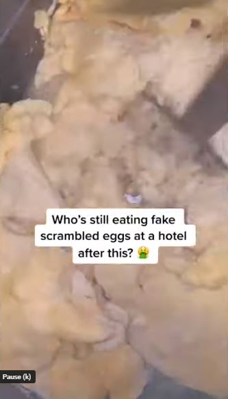 People refuse to eat hotel breakfast eggs after seeing how they're made 2