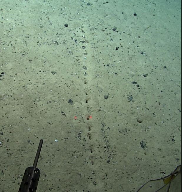 Scientists stumped by mystery ‘perfectly aligned’ holes at the bottom of the sea 1