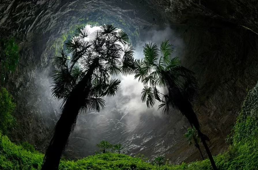 Huge ancient forest world discovered 630ft down below the surface in sinkhole in China 2