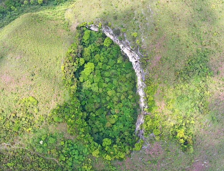 Huge ancient forest world discovered 630ft down below the surface in sinkhole in China 4