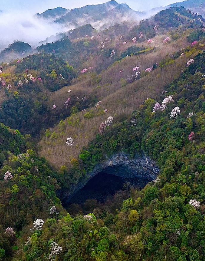 Huge ancient forest world discovered 630ft down below the surface in sinkhole in China 5