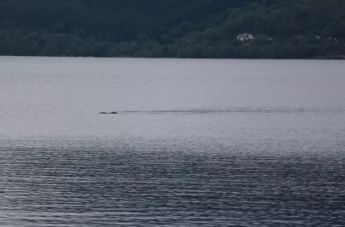 Woman claims she took a new 'sighting' of the Loch Ness monster but has kept it a secret for years 2