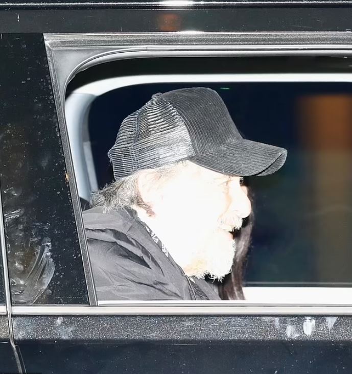 Al Pacino, 83, and girlfriend Noor Alfallah, 29, enjoying a date night after she filed for custody of their child 1