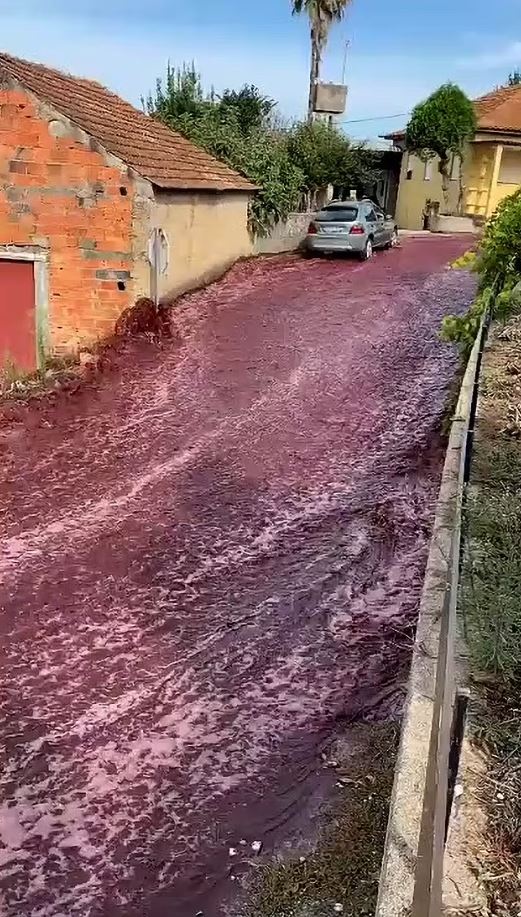 VIDEO: River of red WINE flows through town after tank bursts at distillery 1