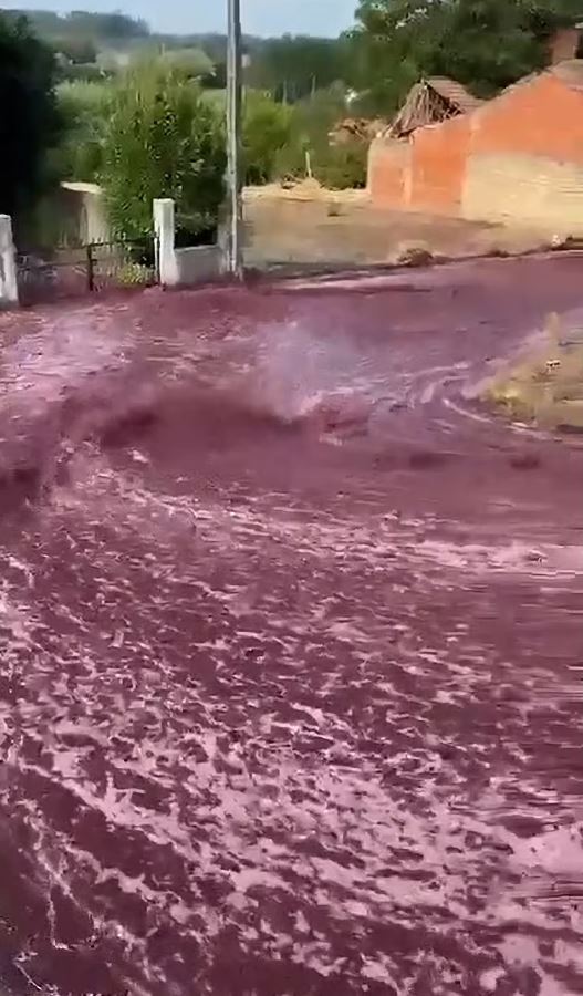 VIDEO: River of red WINE flows through town after tank bursts at distillery 2