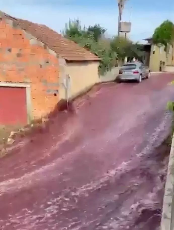 VIDEO: River of red WINE flows through town after tank bursts at distillery 4