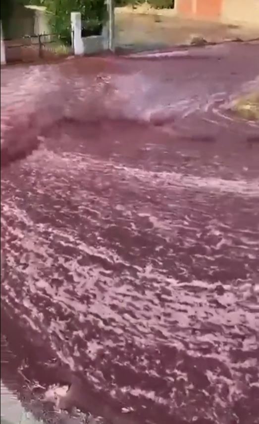 VIDEO: River of red WINE flows through town after tank bursts at distillery 5