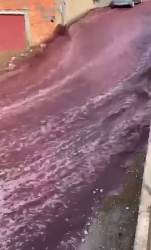 VIDEO: River of red WINE flows through town after tank bursts at distillery 3