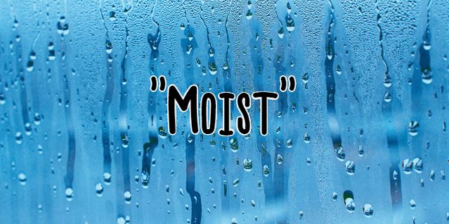 Here's the reason why people hate the word 'moist' 4