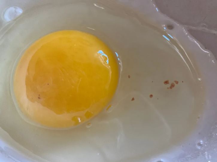 Have you ever wondered about those red and brown spots in cracked chicken eggs? Let's find out 2