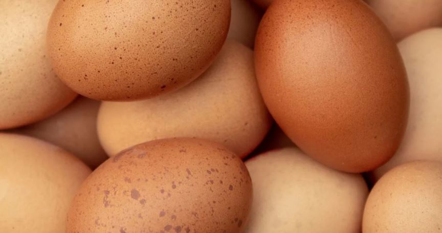 Have you ever wondered about those red and brown spots in cracked chicken eggs? Let's find out 1