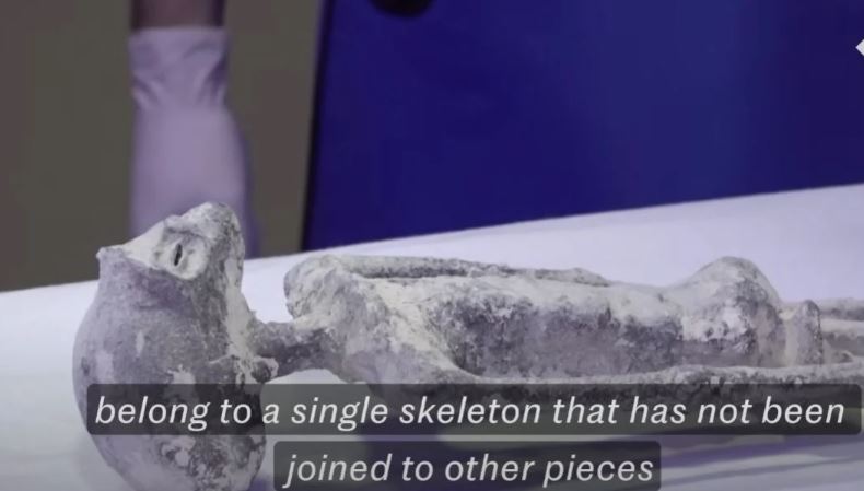  Doctors conclude tests showed ‘Alien corpses’ found to have ‘no relation to human beings’ 2
