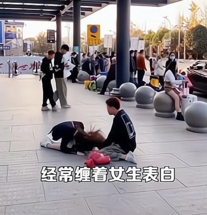 Woman kneels to beg man to give up on chasing her 4