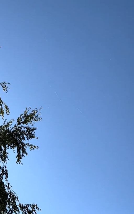 Spider webs are seen falling from the sky and floating in the air 3