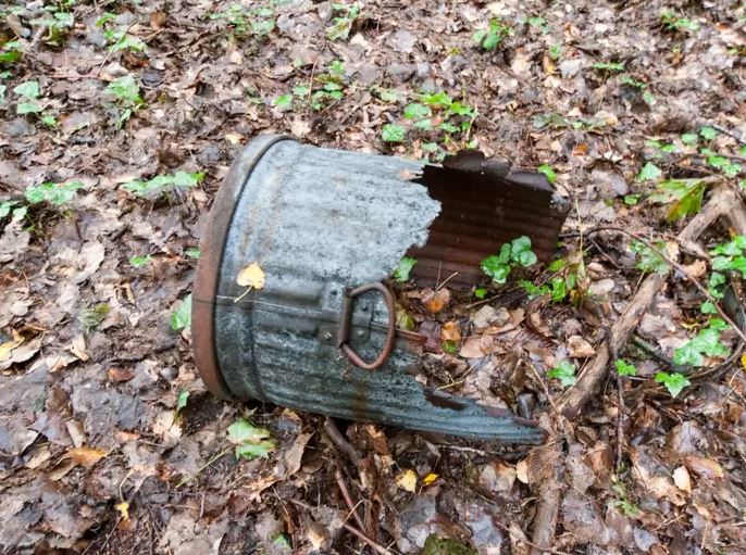 Mysterious island near New York has been abandoned for over 50 years and almost no one is allowed to visit 6